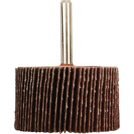 Meule abrasive, Dia. 50mm RS PRO, grain P80, Oxyde d'aluminium ( Prix pour 1 )