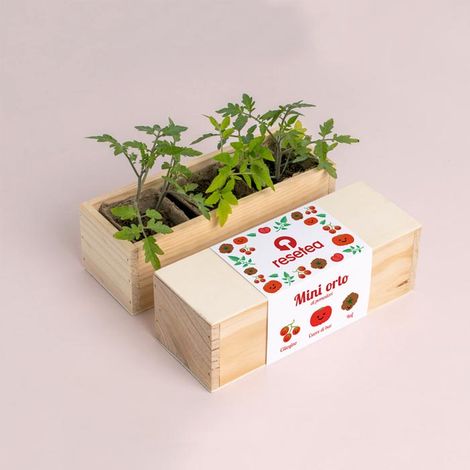 MINI ORTO - POMODORI (1/3)