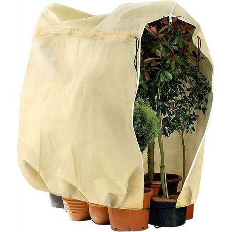 Couverture froide de plante d'hiver de cour extérieure (1/5)