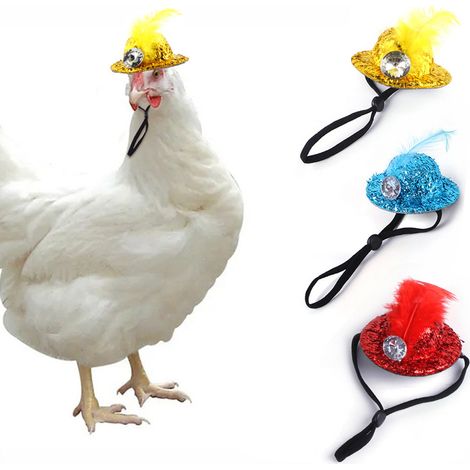 3er-Pack Hühnerhüte für Hennen, Mini-Hühnerhüte, Haustier-Hühnerhüte, M