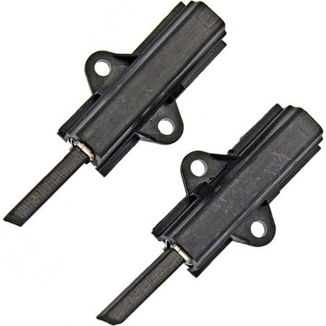 Charbon moteur (x2)