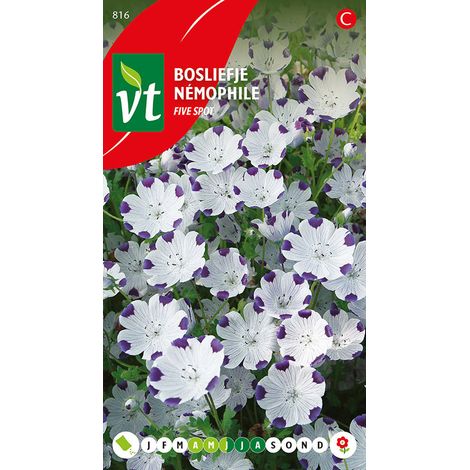 Némophile Five Spot - Ca. 0,75 gr (Livraison Gratuite) (1/2)