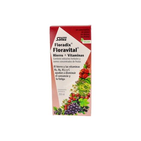 Floravital Hierro Floradix Vegano 250ml Salus