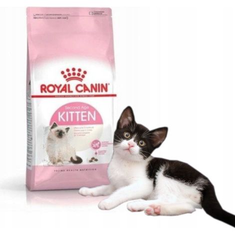 Chaton FHN 2 kg