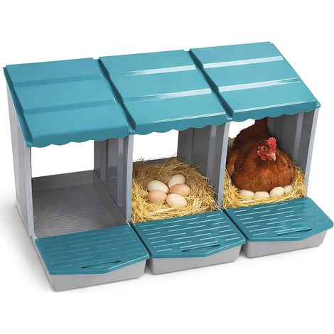 Nid à oeufs pour poules, 3 places, oeufs automatiques, tiroir, structure résistante, poulailler, élevage, ferme