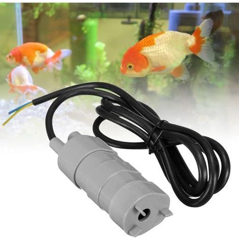 Pompe à Eau Immergée 12v, Submersible, pour Camping-car ond étang, Aquarium, Fontaine Daquarium 600L/H (1/5)