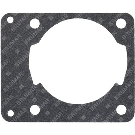 Guarnizione cilindro per motoseghe PROGREEN - 054647
