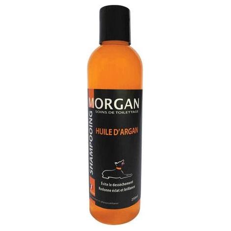 Shampoing à l'huile d'Argan Morgan : 250ml