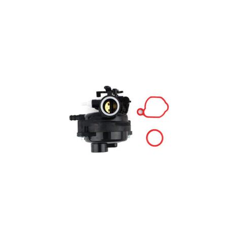 Carburateur géant S pour Briggs & Stratton Garden 799583593261595656591979590556.