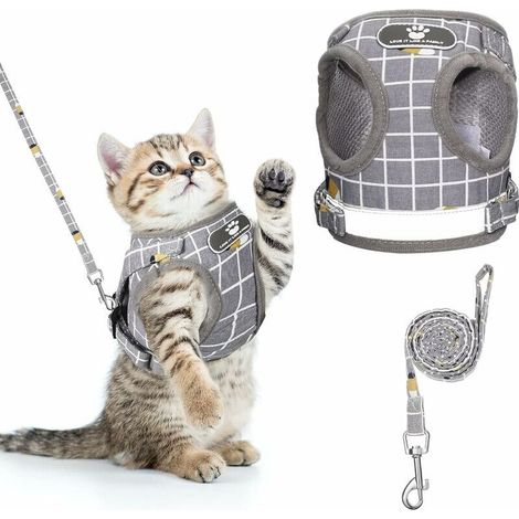 royaluxe -Harnais pour Chat Anti-Évasion Harnais Réglable pour Chiot Harnais avec Laisse pour Chaton Harnais avec Gilet à Rayures pour Chien Harnais en Maille Respirante pour Chats Petits Chiens (S) (1/5)