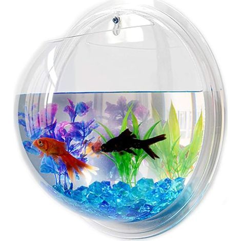 1 Réservoir De Poissons Suspendu, Acrylique Transparent, Design Unique, Pour Salon, Bureau (1/5)