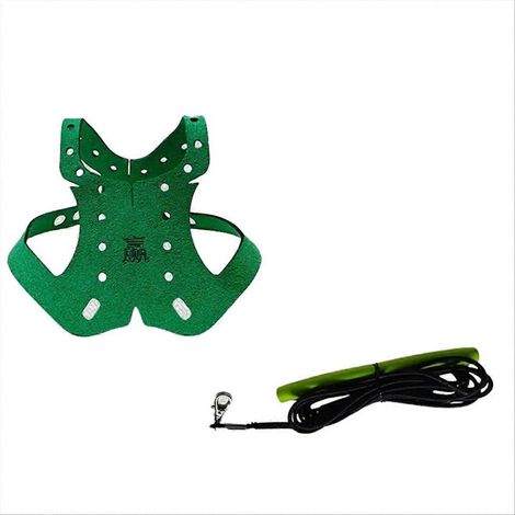 Harnais et laisse pour perroquet et pigeon, sangles de traction anti-morsure pour le dressage et le transport en extérieur, réglables. (1/5)