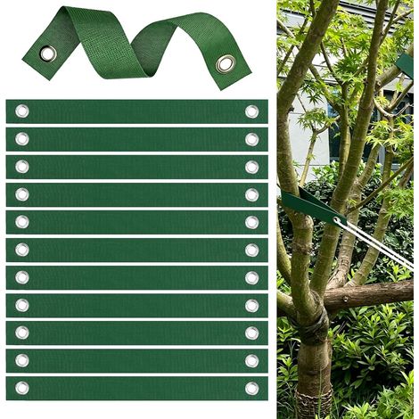 12 Pièces Sangles d'arbre, Sangles de Soutien pour Arbre avec œillets,Attaches pour Arbres, Sangle Arbre Tuteur pour Jeunes Arbres Nouvellement,Liens pour Arbres de Jardin (1/4)