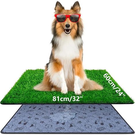 Dog Litter, 81 x 60 cm, with Artificial Grass, for Puppies, for Indoor and Outdoor Use (1/5)