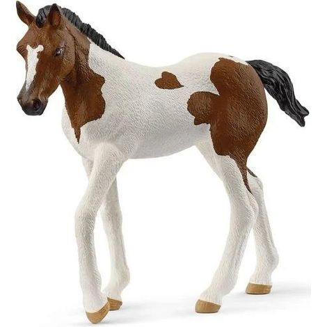 Paint Horse Fohlen
