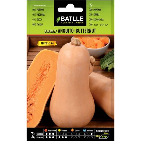 CALABAZA ANQUITO-BUTTERNUT SOBRE
