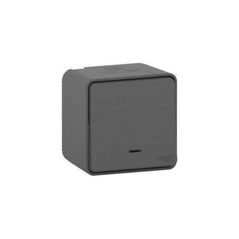 Pulsador MUREVA gris con LED IP55, 10 A y 250 V AC para interiores/exteriores