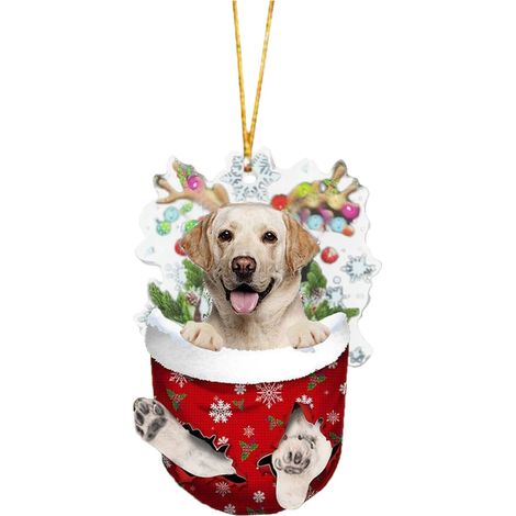 Ornement Chien - Décoration Arbre De Noël En Acrylique - Double Impression - 12 Modèles - Pour Intérieur Porte Fenêtre Voiture - Lot De 12 (1/5)