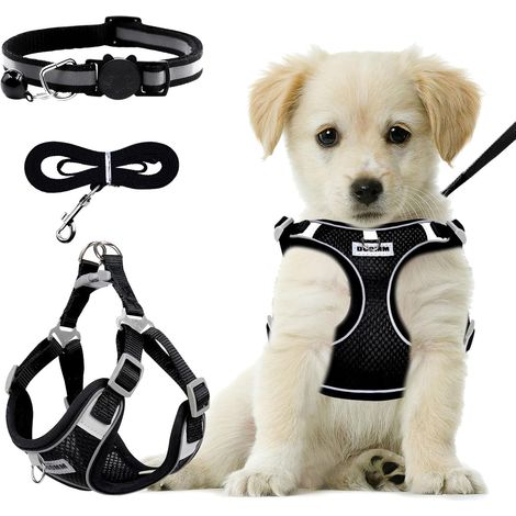 Harnais Chien avec Laisse Chien, Harnais Anti Traction pour Chiens de Petite et Moyenne Taille - Respirant - Lumineux -Taille Réglable - Harnais de sécurité pour Chien - Taille M (1/5)