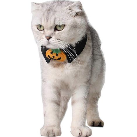 Collar con forma de calabaza para gatos, para uso en mascotas, paquete de 2 unidades. (1/5)