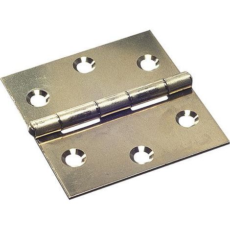 Charniere a aretes avec vis zingue L : 40mm Emballage 2 pieces
