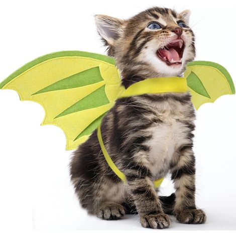 Costume Dinosaure Pour Chien Et Chat - Ailes En Feutre Réglables - Déguisement Halloween Fête - Taille Unique (1/5)