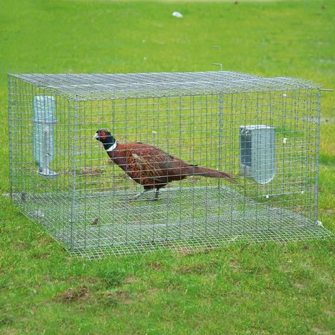 Cage de pré-lâcher galvanisée thermolaquée vert (1/3)