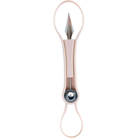 Abaodam Cuillère Bille de Melon en Acier Inoxydable Manche Plastique (1/5)