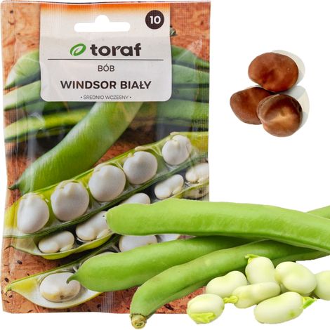 Semi di fava W1006, fava bianca Windsor, medio-precoce, molto fertile, 50 g (1/5)