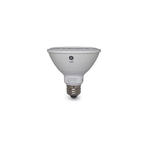 Lampada spot LED PAR38 15W