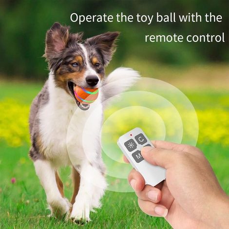 Balle jouet interactive pour animaux Balle jouet pour chien Balle jouet pour chat auto-roulante avec lumière LED USB rechargeable Orange (1/5)