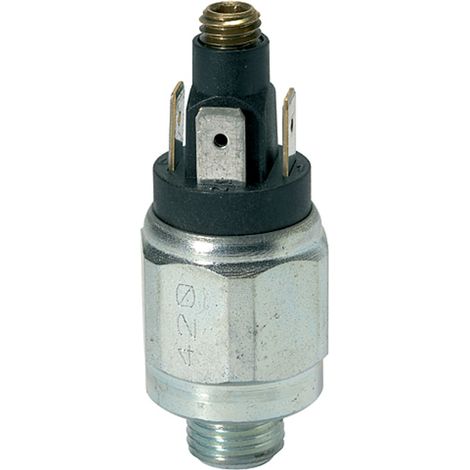 Riegler Druckschalter, Wechselkontakt, Stahl ver., 42 V, G 1/4, 1-10 bar (1/3)