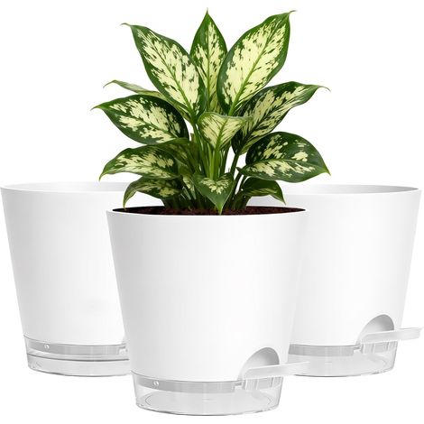Lot de 3 pots de fleurs d'intérieur en plastique blanc de 15 cm avec soucoupes transparentes et trous de drainage, pots décoratifs modernes pour plantes d'intérieur, balcon, extérieur et (1/5)