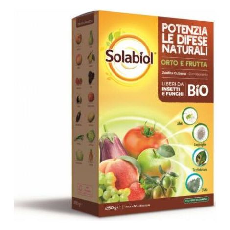 Zeolite Cubana Disponibile 250 gr - 1 Kg - size 1 Kg