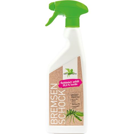 B & E BremsenSchock - 500 ml