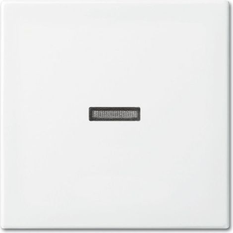 Placa de cubierta Busch-Jaeger 1731-0-2009 blanco 14x16 cm