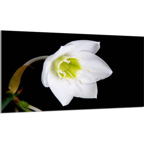 Glasschutzplatte für den Herd 90x52 Orchidea (1/5)