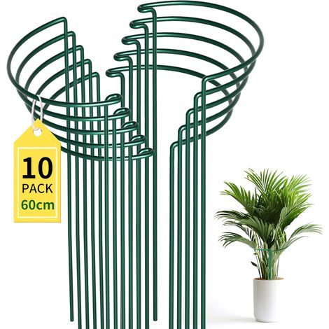 Set of 10 Plant Supports 25x60cm - Versatile Plant Support, Sturdy Support for Peonies, Roses and Tomatoes, Indoor and Outdoor Use (1/4)