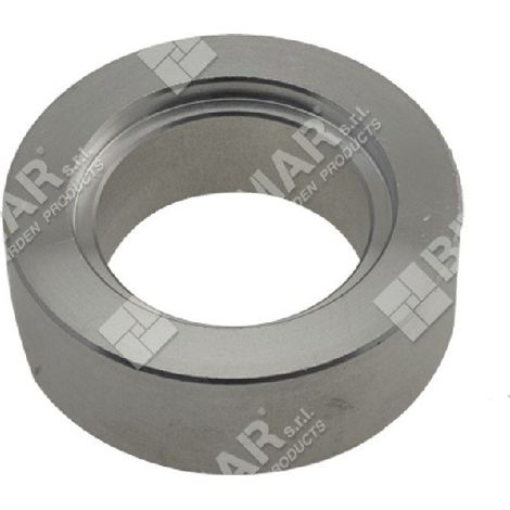 BLUE BIRD Riemenspannrolle – 015973