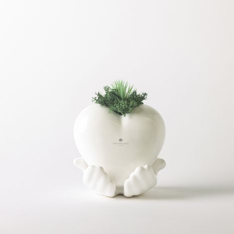 Pianta grassa vera vaso ceramica Made in Italy Cuoricino tra le Mani - Bianco
