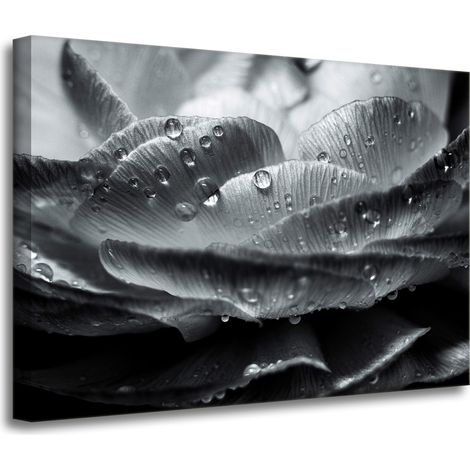 Leinwanddruck Blume in Tautropfen 70x50 cm