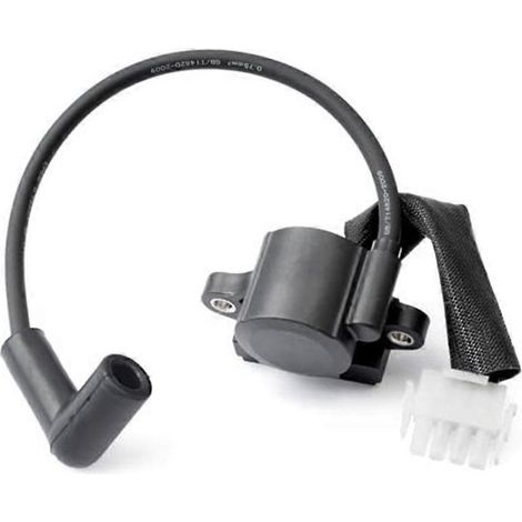 Module d'allumage pour moteur de tondeuse CH1000, références 6258417-S, 6258414-S et 6258402-S. (1/5)
