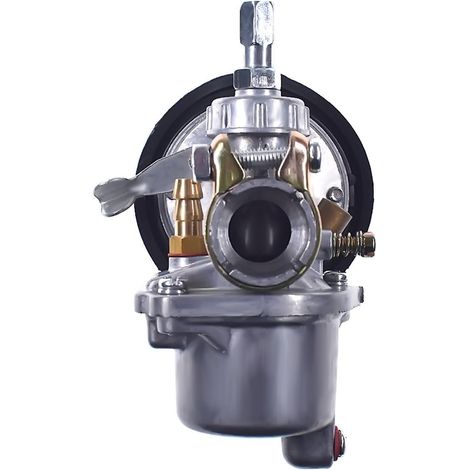 Carburateur Moto 50cc 60cc 80cc 2 Temps Moteur Vélo Carb Bike Moto (1/5)