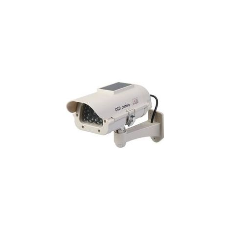 indoor Caméra de Surveillance factice Solaire avec LED NPTERBL (1/5)