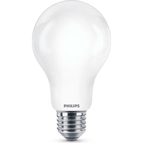 LED CLASSIC 100W A60 CW FR ND 1CT/10 art.INCALED100840G2