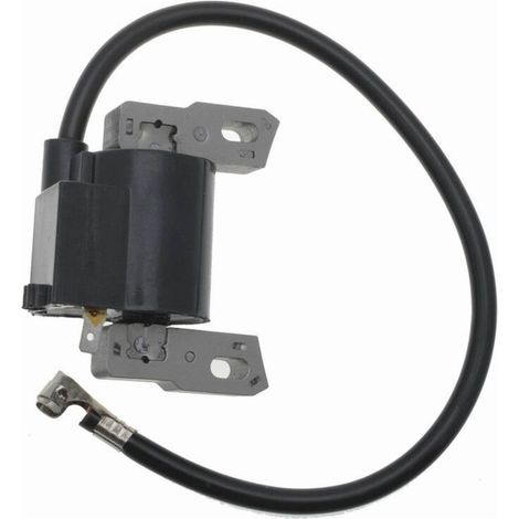 Bobine d\'allumage pour Briggs & Stratton 794854 796964 695711 (1/3)