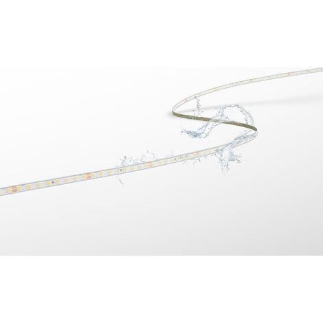 Strip led lunghezza 5m century accento pro 60w luce naturale 4000k 1500lm/m - acp568-1212840 (1/2)