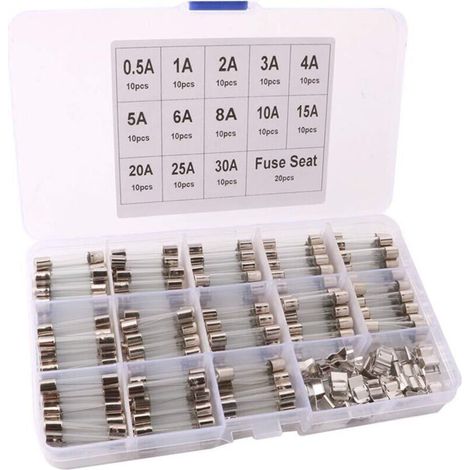150 tubos de vidrio de soplado rápido profesionales de 6x30 mm para automóviles - 130 fusibles de tubo de vidrio de soplado rápido + 20 fusibles para asientos