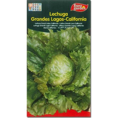 SEMILLAS FITO HORTICOLAS LECHUGA  G. LAGOS CALIFORNIA=00209