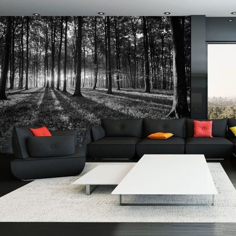 Papier Peint "The Light in the Forest" 210 x 300 cm (1/2)